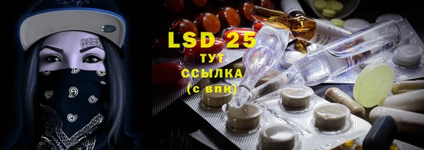 стафф Майский