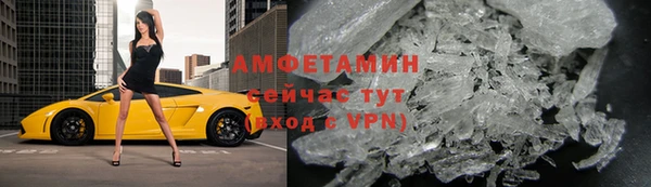 гидра Грязовец