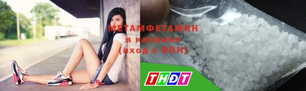 гидра Грязовец