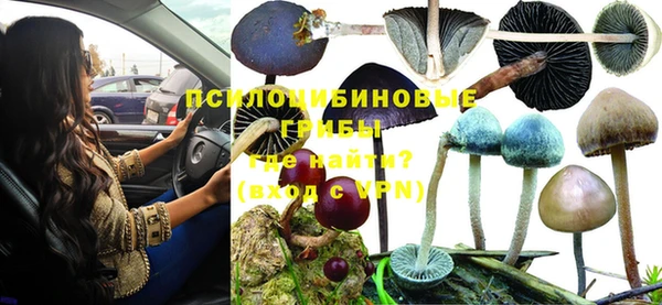 гашик Магас