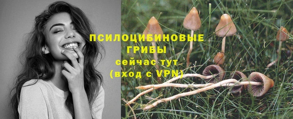 гашик Магас