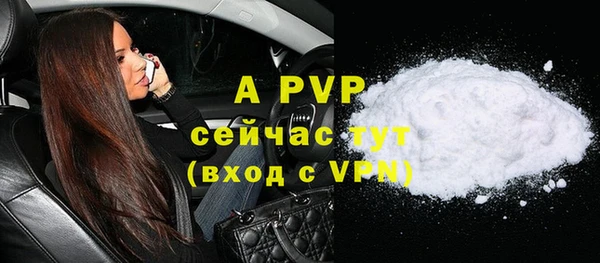 стафф Майский
