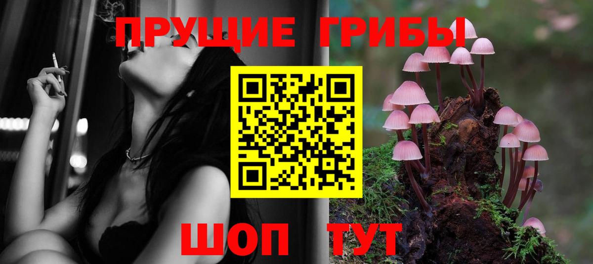 купить наркоту  Псилоцибиновые грибы GOLDEN TEACHER  Вход с VPN  Галлюциногенные грибы мухоморы  Морозовск 